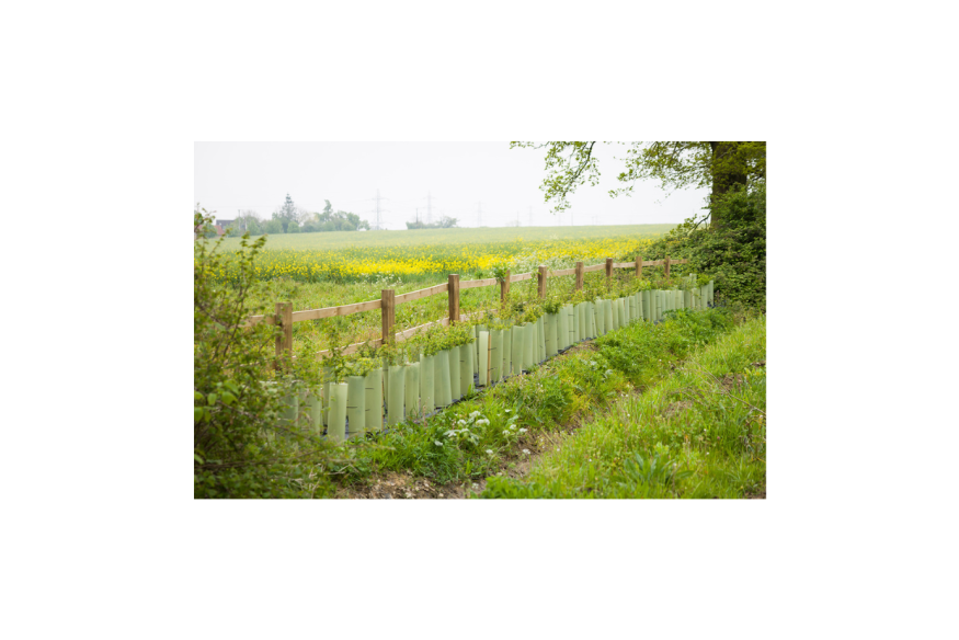 Opération collective pour la plantation de haies et de bosquets