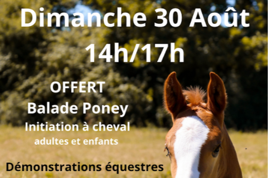 Portes ouvertes et vide sellerie à l'Elevage du Mas